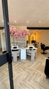 established luxury nail beauty - 2