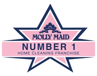 established molly maid franchise - 1