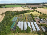 long-established plant nursery edinburgh - 2