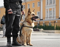 trusted security service business - 1