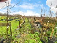 relocatable tree nursery business - 1