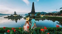 travel search engine website - 1