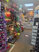 established popular giftware business - 3