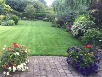 popular profitable lawncare business - 1