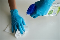 established domestic cleaning company - 2
