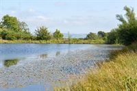 income-generating lifestyle property fishery - 1