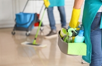 well-established cleaning services business - 1