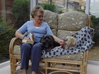 pet sector franchise opportunity - 2