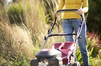 garden machinery sales servicing - 2