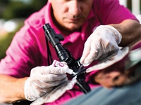 windscreen repair franchise new-territory - 2