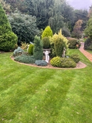 popular profitable lawncare business - 3