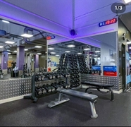 highly profitable anytime fitness - 1