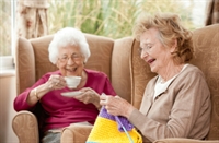 dom care franchise help - 1
