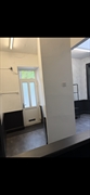 established dog grooming shop - 2