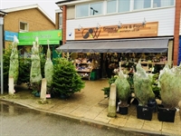 prime location grocery store - 2