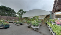 northamptonshire established garden centre - 2