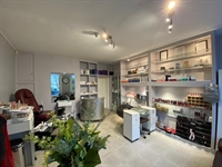 well established stylish beauty - 1