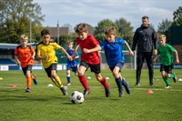 established children's sports coaching - 1