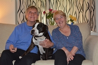 pet sector franchise opportunity - 2