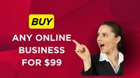profitable online ecommerce business - 2