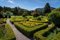 established garden design landscaping - 1