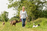 scalable dog walking business - 3