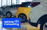established vehicle consulting salary - 1
