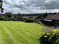 established lawn care business - 1