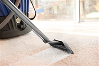 specialist dry carpet cleaning - 1