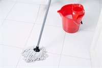 cleaning business established 25 - 1