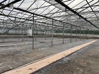 wholesale nursery premises west - 2