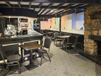 established adult entertainment venue - 3