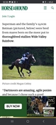 pony breeding farm - 1