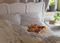 freehold guest house barn - 3
