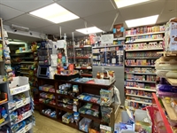 monmouthshire town centre convenience - 2