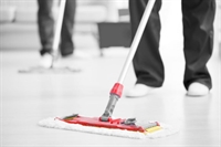 established domestic cleaning company - 1