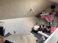 marvellous freehold investment property - 2