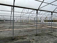 wholesale nursery premises west - 3