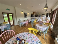established daytime only exmoor - 3