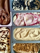 established artisan ice cream - 1