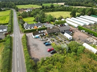 long-established plant nursery edinburgh - 3