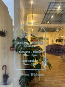 established hair studio tavistock - 1