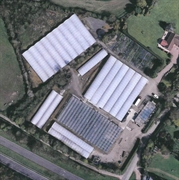 wholesale nursery premises west - 1