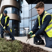 grounds maintenance franchise - 1
