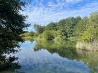 renowned commercial carp fishery - 3