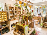 character town centre shop - 2