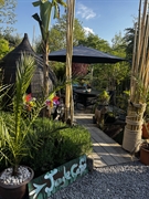 destination jungle cafe the - 1