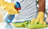 domestic part commercial cleaning - 2