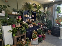 multi-award-winning florist central scotland - 2