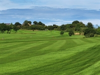 storwys wen golf club - 2